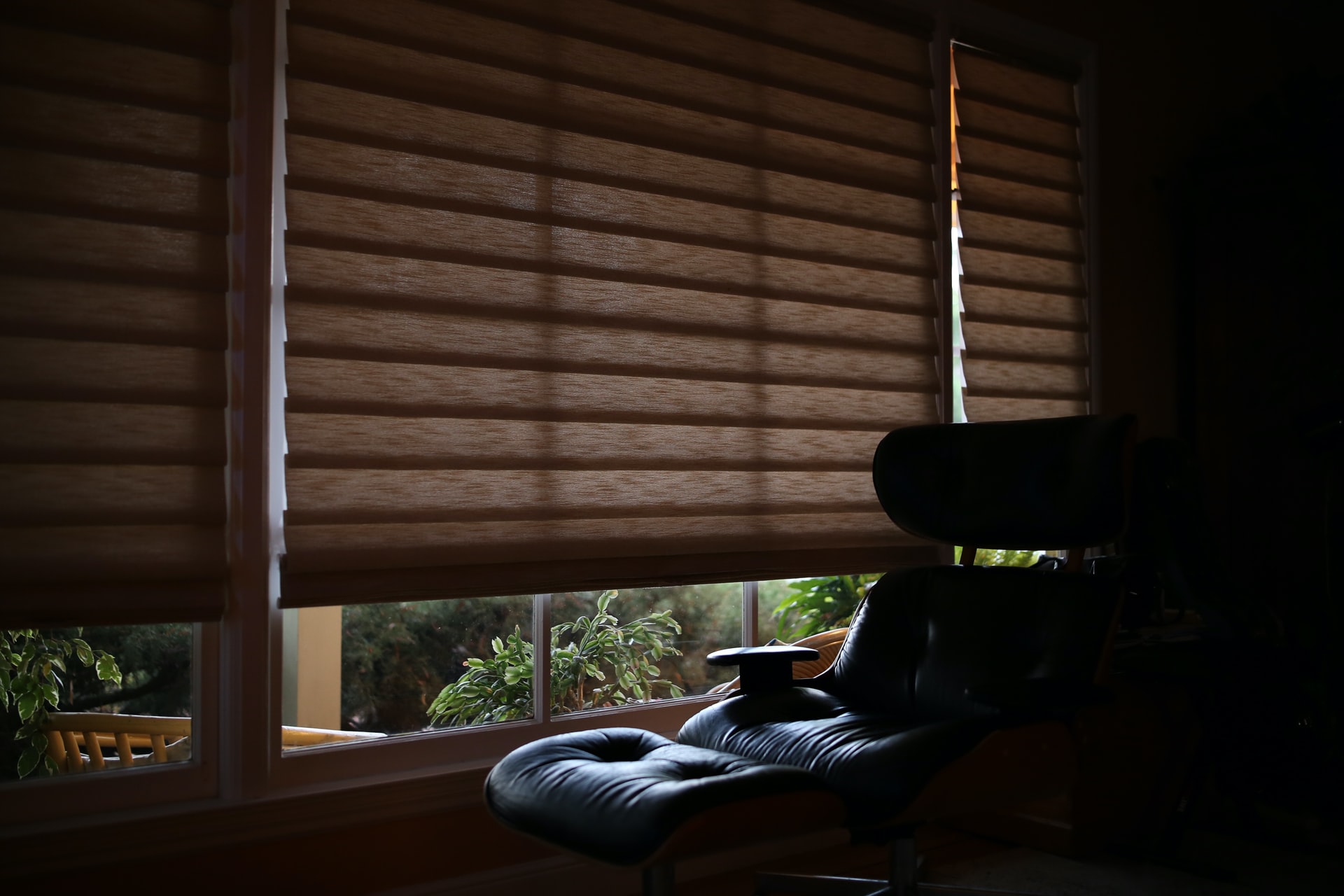 Read more about the article Mauris venenatis eros dom pharetra fringilla